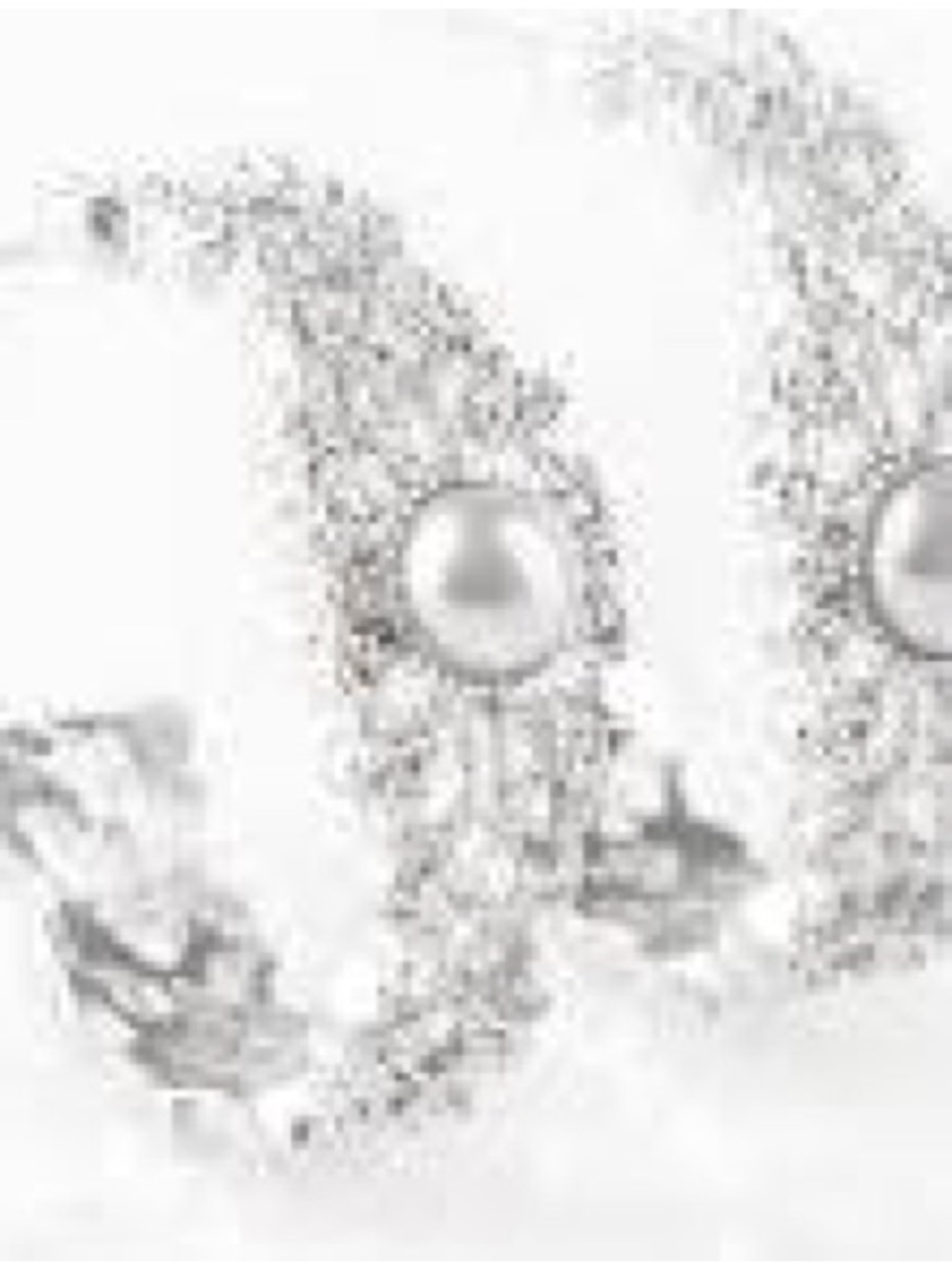 Exquisite Expense - Silver - Picture 2 of 2